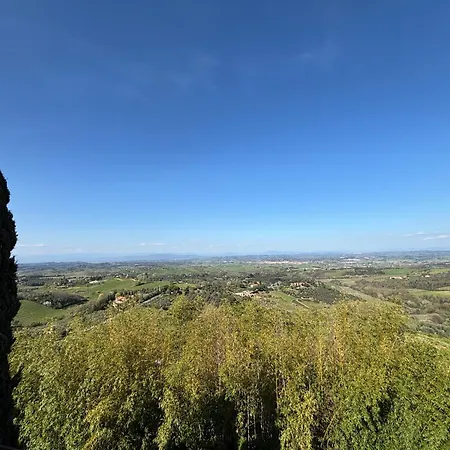 Tafi Montaione